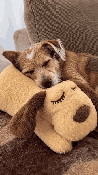 Peluche con Latidos para Perros y Cachorros - Sonidos de Corazón